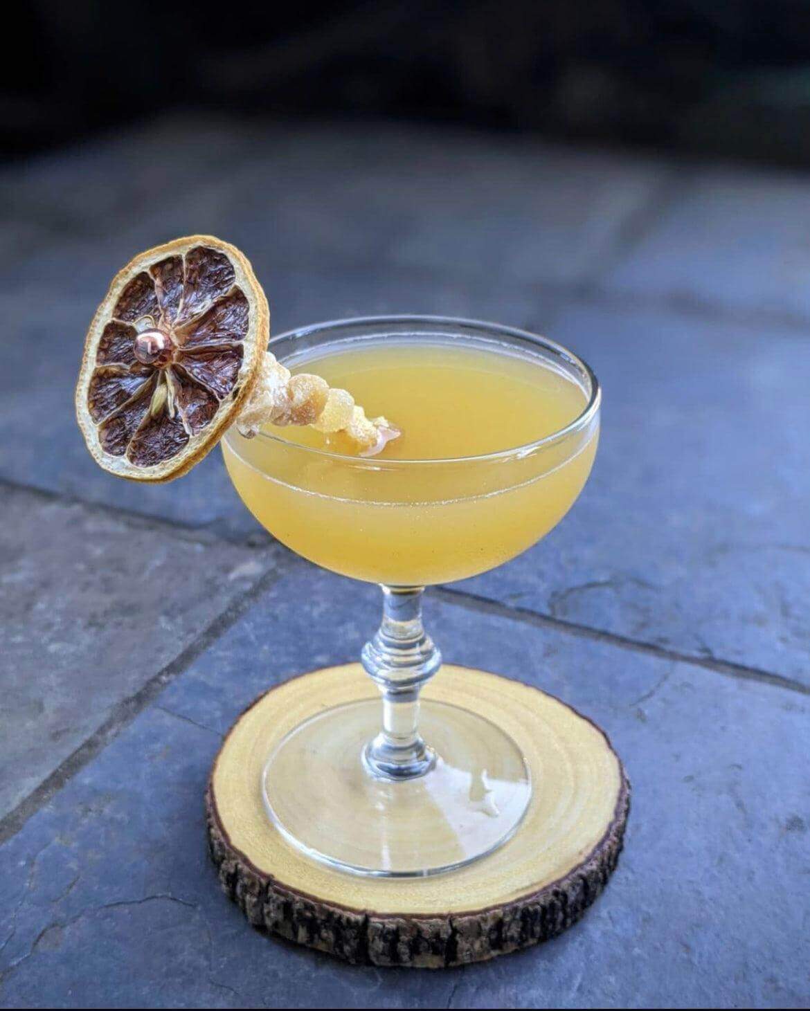 Dehydrated Lemon Slices - Cocktail or Mocktail Garnish