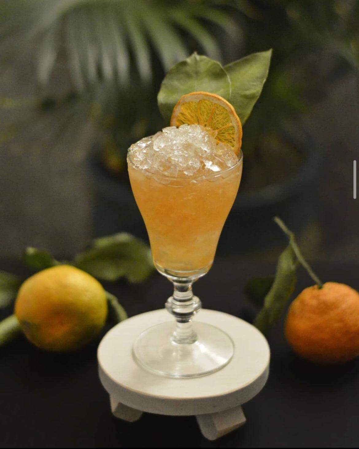 Dehydrated Orange Garnish, 3oz (30+ Slices) - Cocktail Garnish Co